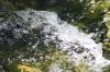 <img100*0:stuff/z/73640/Frio%2520River%2520reference/i1258511913_14.jpg>