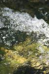 <img100*0:stuff/z/73640/Frio%2520River%2520reference/i1258511913_15.jpg>