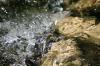 <img100*0:stuff/z/73640/Frio%2520River%2520reference/i1258511913_16.jpg>