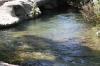 <img100*0:stuff/z/73640/Frio%2520River%2520reference/i1258511913_17.jpg>