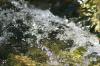 <img100*0:stuff/z/73640/Frio%2520River%2520reference/i1258511914_18.jpg>