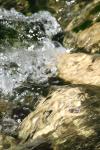 <img100*0:stuff/z/73640/Frio%2520River%2520reference/i1258511914_20.jpg>