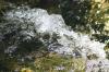 <img100*0:stuff/z/73640/Frio%2520River%2520reference/i1258511914_21.jpg>