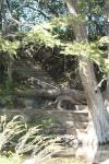 <img100*0:stuff/z/73640/Frio%2520River%2520reference/i1258511914_22.jpg>