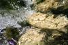 <img100*0:stuff/z/73640/Frio%2520River%2520reference/i1258511914_25.jpg>