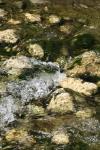 <img100*0:stuff/z/73640/Frio%2520River%2520reference/i1258511915_26.jpg>