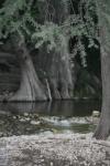 <img100*0:stuff/z/73640/Frio%2520River%2520reference/i1263426709_1.jpg>