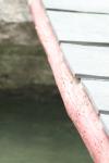 <img100*0:stuff/z/73640/Frio%2520River%2520reference/i1263426709_12.jpg>