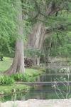 <img100*0:stuff/z/73640/Frio%2520River%2520reference/i1263426709_5.jpg>