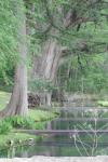 <img100*0:stuff/z/73640/Frio%2520River%2520reference/i1263426709_9.jpg>