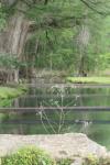 <img100*0:stuff/z/73640/Frio%2520River%2520reference/i1263426710_26.jpg>