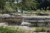 <img100*0:stuff/z/73640/Frio%2520River%2520reference/i1263428174_10.jpg>