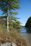 <img100*0:stuff/z/73640/Frio%2520River%2520reference/i1263428174_12.jpg>