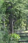 <img100*0:stuff/z/73640/Frio%2520River%2520reference/i1263428174_7.jpg>