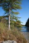 <img100*0:stuff/z/73640/Frio%2520River%2520reference/i1263428174_8.jpg>