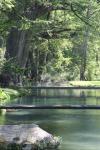 <img100*0:stuff/z/73640/Frio%2520River%2520reference/i1263428175_15.jpg>