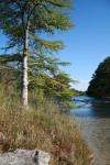 <img100*0:stuff/z/73640/Frio%2520River%2520reference/i1263428175_16.jpg>