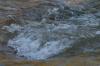<img100*0:stuff/z/73640/Frio%2520River%2520reference/i1263429018_1.jpg>