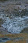 <img100*0:stuff/z/73640/Frio%2520River%2520reference/i1263429018_2.jpg>