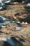 <img100*0:stuff/z/73640/Frio%2520River%2520reference/i1263429018_3.jpg>