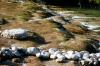 <img100*0:stuff/z/73640/Frio%2520River%2520reference/i1263429018_4.jpg>