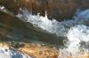 <img100*0:stuff/z/73640/Frio%2520River%2520reference/i1263429018_8.jpg>