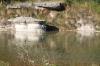 <img100*0:stuff/z/73640/Frio%2520River%2520reference/i1263429019_10.jpg>