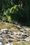 <img100*0:stuff/z/73640/Frio%2520River%2520reference/i1263429019_14.jpg>