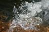 <img100*0:stuff/z/73640/Frio%2520River%2520reference/i1263429019_16.jpg>