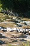 <img100*0:stuff/z/73640/Frio%2520River%2520reference/i1263429019_18.jpg>