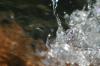 <img100*0:stuff/z/73640/Frio%2520River%2520reference/i1263429020_20.jpg>