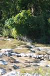 <img100*0:stuff/z/73640/Frio%2520River%2520reference/i1263429020_21.jpg>