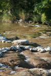 <img100*0:stuff/z/73640/Frio%2520River%2520reference/i1263429020_24.jpg>