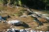 <img100*0:stuff/z/73640/Frio%2520River%2520reference/i1263429020_25.jpg>