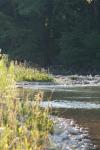 <img100*0:stuff/z/73640/Frio%2520River%2520reference/i1263429612_12.jpg>