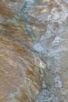 <img100*0:stuff/z/73640/Frio%2520River%2520reference/i1263429612_15.jpg>