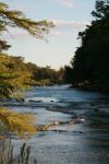 <img100*0:stuff/z/73640/Frio%2520River%2520reference/i1263429612_16.jpg>