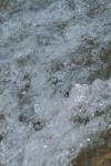 <img100*0:stuff/z/73640/Frio%2520River%2520reference/i1263429612_18.jpg>