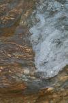 <img100*0:stuff/z/73640/Frio%2520River%2520reference/i1263429612_19.jpg>