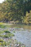<img100*0:stuff/z/73640/Frio%2520River%2520reference/i1263429612_2.jpg>