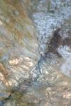 <img100*0:stuff/z/73640/Frio%2520River%2520reference/i1263429612_20.jpg>