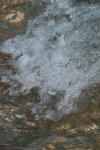 <img100*0:stuff/z/73640/Frio%2520River%2520reference/i1263429612_23.jpg>
