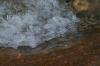 <img100*0:stuff/z/73640/Frio%2520River%2520reference/i1263429612_24.jpg>