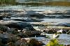 <img100*0:stuff/z/73640/Frio%2520River%2520reference/i1263429612_26.jpg>