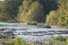 <img100*0:stuff/z/73640/Frio%2520River%2520reference/i1263429612_3.jpg>