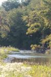 <img100*0:stuff/z/73640/Frio%2520River%2520reference/i1263429612_7.jpg>