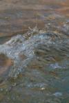 <img100*0:stuff/z/73640/Frio%2520River%2520reference/i1263429612_8.jpg>