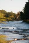<img100*0:stuff/z/73640/Frio%2520River%2520reference/i1263429613_29.jpg>