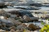 <img100*0:stuff/z/73640/Frio%2520River%2520reference/i1263429613_30.jpg>