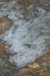 <img100*0:stuff/z/73640/Frio%2520River%2520reference/i1263429613_31.jpg>
